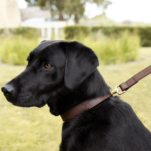 Luxury Classic Heavy Duty Rope <b>Dog</b> <b>Leash</b> Comfortable Leather Handle Solid Pattern Highly Reflective Threads Dry Clean - Product Image 3