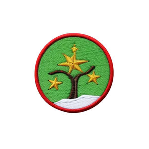 Écusson brodé personnalisé en chenille thermocollant pour vestes, sacs, chapeaux, vêtements, décoration DIY, fourniture d'usine OEM en gros - Product Image 4