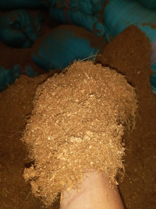 Cáscara de Coco Premium, Cortada a la Mitad y Triturada, Exportación a Granel de Vietnam para Carbón Activado, Biomasa y Combustible - Sra. Tarina - Product Image 6