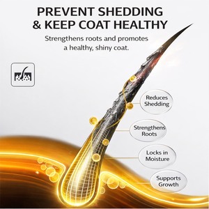 Hot Selling Anti-Aging Firming Organic Marula Oil Anti-Shedding Pet Shampoo for Dogs Cats Deodorizing Hypoallergenic Coat Repair - Product Image 5