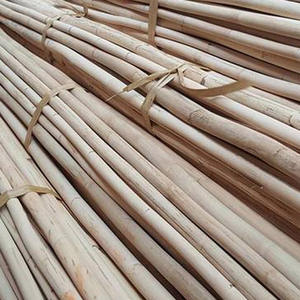 Fournisseur direct de bâtons en rotin, de poteaux en manau robustes, de cannes naturelles d'excellente qualité. - Product Image 3