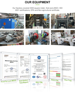 Pièges à colle pour cafards, dispositifs <span class=keywords><strong>anti</strong></span>-cafards efficaces, pièges à colle jetables pour cafards, pièges à colle pour cafards - Product Image 4