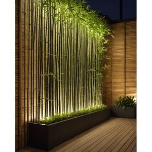 Jardinière murale en bambou naturel avec éclairage LED - Style moderne du milieu du siècle, rangement pour salon, fabrication artisanale, vente en gros - Product Image 1