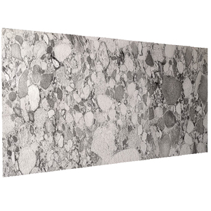 Exportateur de matériaux de parement en pierre légers, Stone Veneer Cosmo Sheet, feuilles de parement flexibles, utilisation sûre pour villas et maisons. - Product Image 5