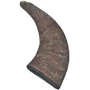 Orejas de Búfalo Secas 100% Orgánicas para Perros, Masticables Naturales, Seguros, Saludables y Ecológicos, Alimento para Mascotas de la India, Orejas de Vaca 100% Blanqueadas/Ahumadas para Perros - Product Image 2