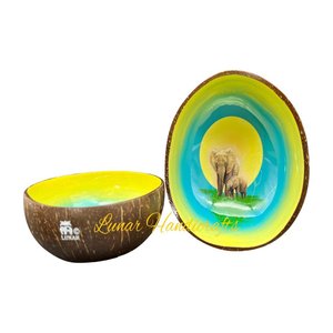 Haute qualité mélange couleur laque noix de coco coquille bol moderne Antique Style fête assiette cuillère prix raisonnable pour personnalisé chaud - Product Image 2