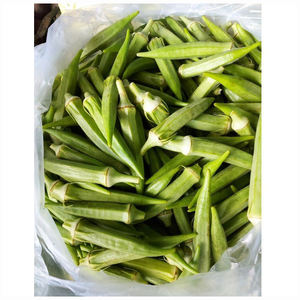 Okra Orgánica Fresca de Alta Calidad, Okra Verde Tipo Lady Finger para Mercados y Distribuidores de Alimentos Saludables - Product Image 3