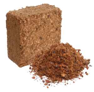 Blocs de tourbe de coco 100% naturelle et biologique de 5 kg / Blocs de tourbe de coco pressée à prix avantageux de la société agricole Falinx Farm en Inde - Product Image 1