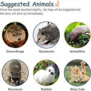 กรงดักสัตว์ขนาด 32 นิ้ว ทำจากเหล็กแข็งแรง ทนทาน พร้อมประตูเหล็ก สำหรับดักจับสัตว์มีชีวิต - Product Image 5