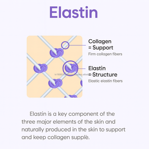 Collagène gommeux coréen OEM avec extrait de grenade et peptide de collagène de poisson - Product Image 4