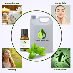 Hidrosol de Albahaca Orgánico 100% Puro y Natural para Aliviar el Estreñimiento, Precios al por Mayor en Hoja de Tulsi - Product Image 2