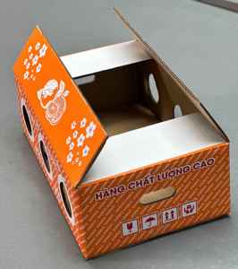 Custom Printed Pomelo Export Carton Box For Fresh Fruit Agricultural Packaging Vietnam OEM ODM Supplier Heavy Duty Box - Product Image 2
