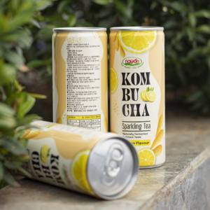 Boissons Kombucha de la meilleure qualité, thé pétillant minceur fermenté, canette de 250 ml, fabricant de boissons OEM/ODM de haute qualité, échantillon gratuit - Product Image 4