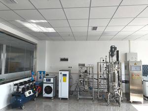 Bailun 30-300L ถังหมักเครื่องปฏิกรณ์ชีวภาพแบบเคียงข้างกัน - Product Image 3