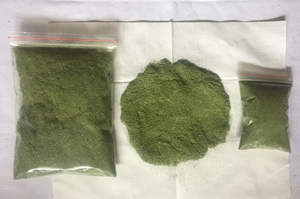 Polvo de hoja Pandan sabor verde natural alta calidad precio barato suministro a granel de Vietnam - Product Image 6