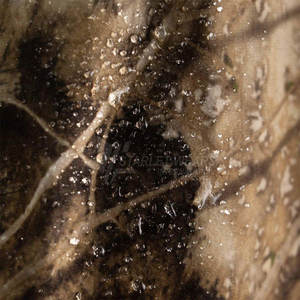 Chaqueta de Caza Resistente al Viento para Condiciones Climáticas Extremas, Chaqueta Térmica para Uso en Exteriores Cálidos y Secos - Product Image 6