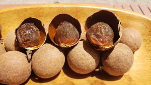 Empaque Personalizado de Longan Seco Suave del Río Mekong, 100% Natural, Larga Vida Útil, Mercado Global - Product Image 3