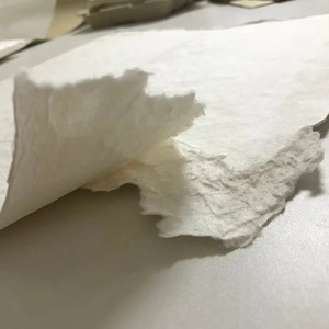 Pâte de bambou blanchie à bas prix pour la fabrication de vaisselle moulée en papier kraft sans bois - Product Image 4