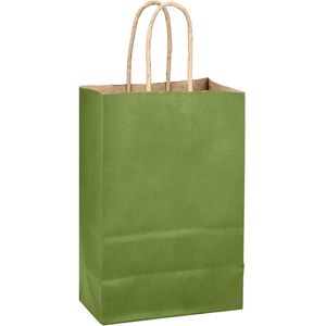 24 Sacchetti Regalo Verde Oliva Chiaro con Manici 21x15x8 cm, Sacchetti di Carta Monocolore per Feste e Bomboniere - Product Image 1