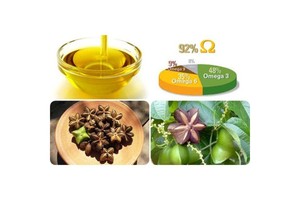 Aceite de Sacha Inchi Más Vendido, Plukenetia Volubilis Linneo, Aceite Puro Orgánico para el Cuidado de la Piel y el Cabello Antienvejecimiento - Product Image 6