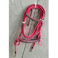 Ensemble de bridon pour cheval LLT Brand Pink Biothene en PVC avec clous métalliques, confortable et durable, design personnalisable, logo, frontal et muserolle
