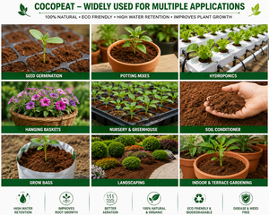 Bloc de tourbe de coco premium le plus vendu, petit format, pour la culture de vos plantes en tourbe de coco et la décoration de jardin en vrac - Product Image 5