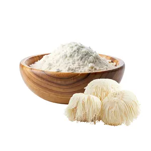 Poudre de champignon Crinière de lion à haute puissance en gros pour OEM, extrait naturel d'Hericium Erinaceus pour stimuler le cerveau, fournisseur en vrac - Product Image 2