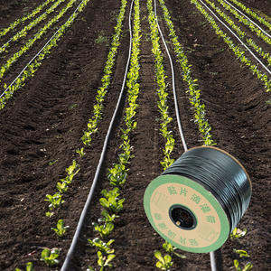 6mm Micro Tubing 0.4LPH Goteros 10cm Espaciado Precisión Agricultura - Product Image 4