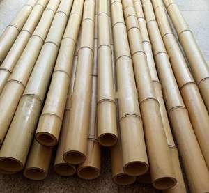 Bastones de Bambú Premium para Esquí, Deportes de Invierno, Duraderos, Ecológicos, Ajustables, Ideales para Senderismo y Esquí al Aire Libre - Product Image 5