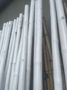 Varas de Bambú Naturales Rectas Directamente de Fábrica en Vietnam, Exportación a Granel - Product Image 3