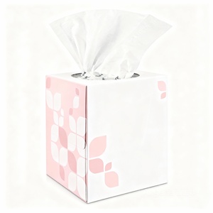 Caja de Pañuelos Faciales Directo de Fábrica, Papel Suave, Limpio e Higiénico, Calidad Consistente para Suministro al Mercado Global - Product Image 1