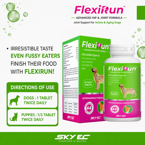 อาหารเสริมบำรุงข้อต่อสุนัข FlexiRun พร้อมกลูโคซามีน คอนดรอยติน และ MSM ชนิดเม็ด - บำรุงสะโพกและข้อต่อขั้นสูง 30 เม็ด ปราศจากธัญพืช - Product Image 5