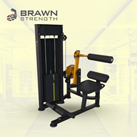Machine d'extension abdominale et lombaire Brawn Strength pour salle de sport, équipement de musculation OEM ODM BSM-117
