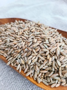 Harina de Centeno Seca Orgánica 100% Pura y Natural de Buena Calidad, 24 Meses de Vida Útil, al Mejor Precio al por Mayor, Disponible Ahora en Stock a Granel - Product Image 5