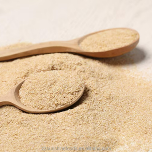 Poudre d'assaisonnement pour poulet en gros, qualité supérieure, approvisionnement en vrac, qualité alimentaire, prête à être expédiée, exportation - Product Image 1