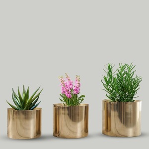 Macetero Metálico de Lujo para Espacios de Vida Exclusivos, Macetero de Acero Hecho a Mano para Diseño de Interiores de Boutique - Product Image 5
