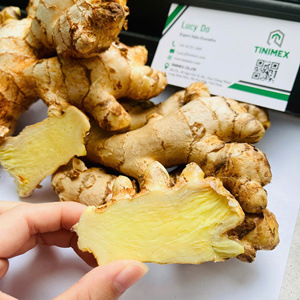 ขิงสดหนุ่มล้างจาก Cao Bang เวียดนาม/zanjabeel tazij/svezhiy imbir-สินค้าขายดี (WA: + 84362512699) - Product Image 3