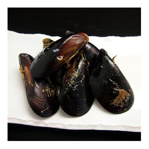 Mariscos al por mayor, carne de mejillones cocidos congelados IQF - Product Image 1