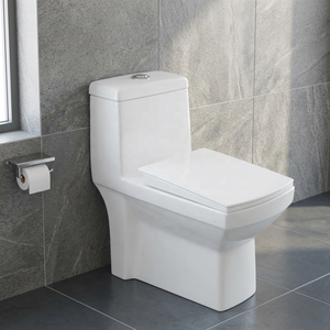 Luxury One Piece Ceramic Water Closet With Dual Flush System For Modern Middle East Hospitality Projects - Product Image 1