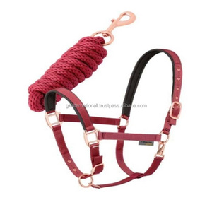 Harnais pour cheval en nylon léger avec ferrures or rose de luxe, couleurs vives et tailles personnalisées. Commandes en gros acceptées. - Product Image 5