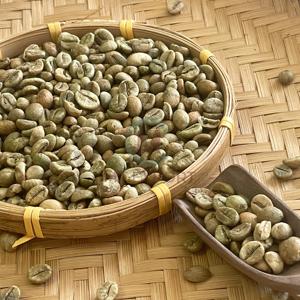 Oferta Especial, Directo de Fábrica, Granos de Café Robusta de Vietnam, Tamaño 18, Limpios, Alta Maduración, a Granel, Bolsas de PP de 60 kg, Listos para Enviar - Product Image 6
