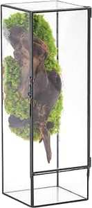 ภาชนะแก้วใสทรงพีระมิดสำหรับปลูกไม้อากาศและไม้อวบน้ำ ตกแต่งอย่างมีสไตล์ - Product Image 6