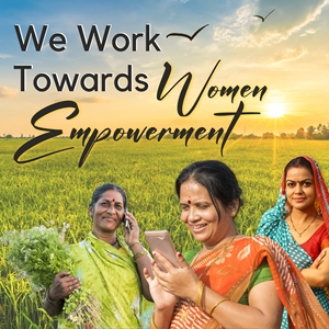 Polvo de Triphala orgánico Envío Gratis | Tónico digestivo a base de hierbas | Calidad de exportación de grado alimenticio | Desde La India - Product Image 5