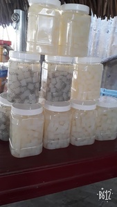 เนื้อมะพร้าวคุณภาพสูง บรรจุภัณฑ์แบบขายส่ง 5กก./10กก. - เนื้อมะพร้าวมาตรฐานส่งออกสำหรับโรงงานเครื่องดื่ม - Product Image 5