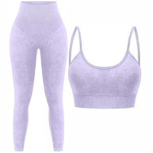 New Arrival Ladies Gym Short Sets Two Piece Sets Tight Fit Sports <b>Bra</b> With Seamless Shorts Sports Active Wear Yoga Sets - Product Image 4
