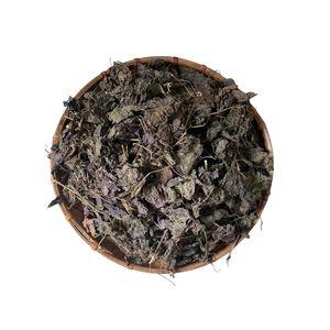 SKIN BOOSTING DRIED PURPLE PERILLA LEAVES VIETNAM ORIGIN SLIMMING <b>TEA</b> LOW-CARB COLD BREW DRINK BEST PRICE NATURAL PERILLA TYPE - Product Image 3