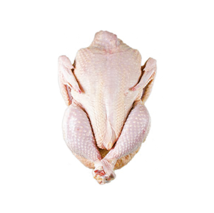 ผู้จัดจำหน่ายไก่แช่แข็งฮาลาลทั้งตัวแบบขายส่งจำนวนมาก |   ไก่แช่แข็งทั้งตัวและเป็นชิ้นส่วน จัดส่งรวดเร็ว - Product Image 2