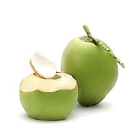 NORMA INTERNACIONAL-COCO JOVEN FRESCO Viet Nam Productos de exportación 100% Natural Sweet Brix 7-9% de Ben Tre, Vietnam