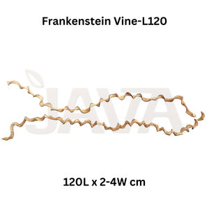 Vivarium Decorativo Ecológico Java Aquascape Frankenstein Vine-L120 para Decoración de Acuarios - Product Image 2