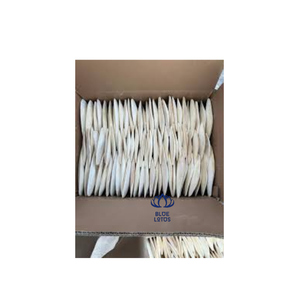 Meilleures ventes : Complément alimentaire minéral de haute qualité à base d'os de seiche, riche en calcium, à absorption rapide, pour oiseaux, en vrac - Product Image 3